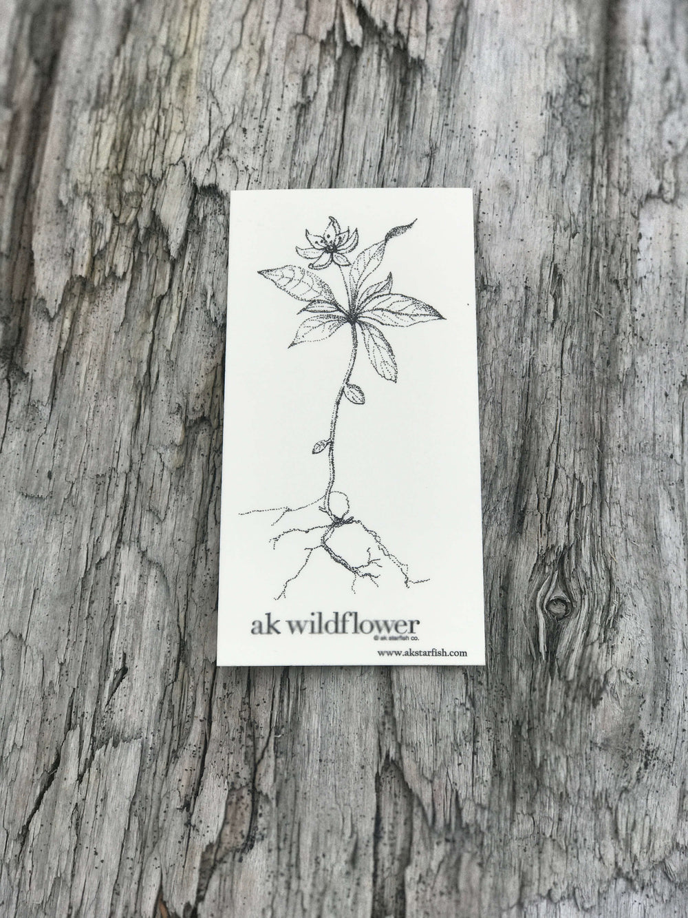 Cream AK Wildflower Sticker $6.00