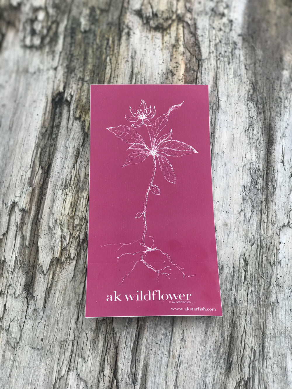 Magenta AK Wildflower $6.00